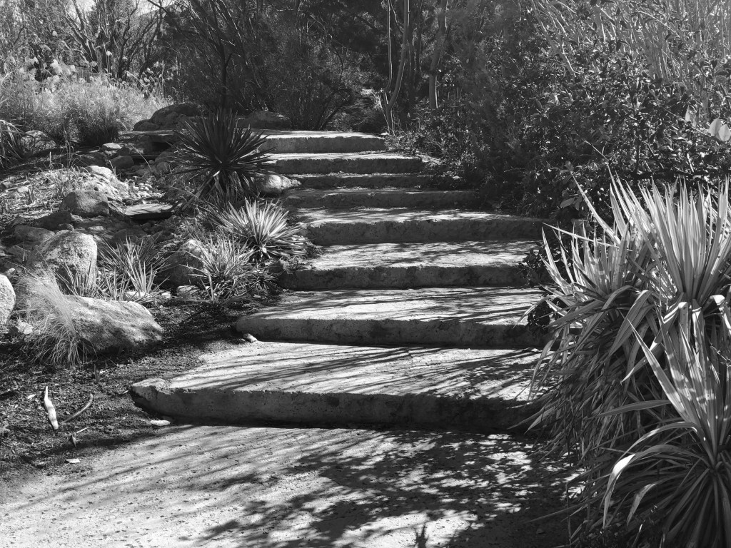 Why I Write, Why I&nbsp;Blog