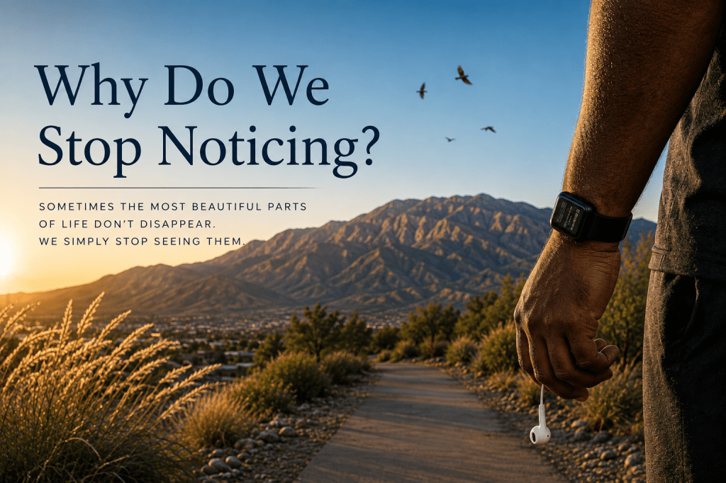 Why Do We Stop Noticing?