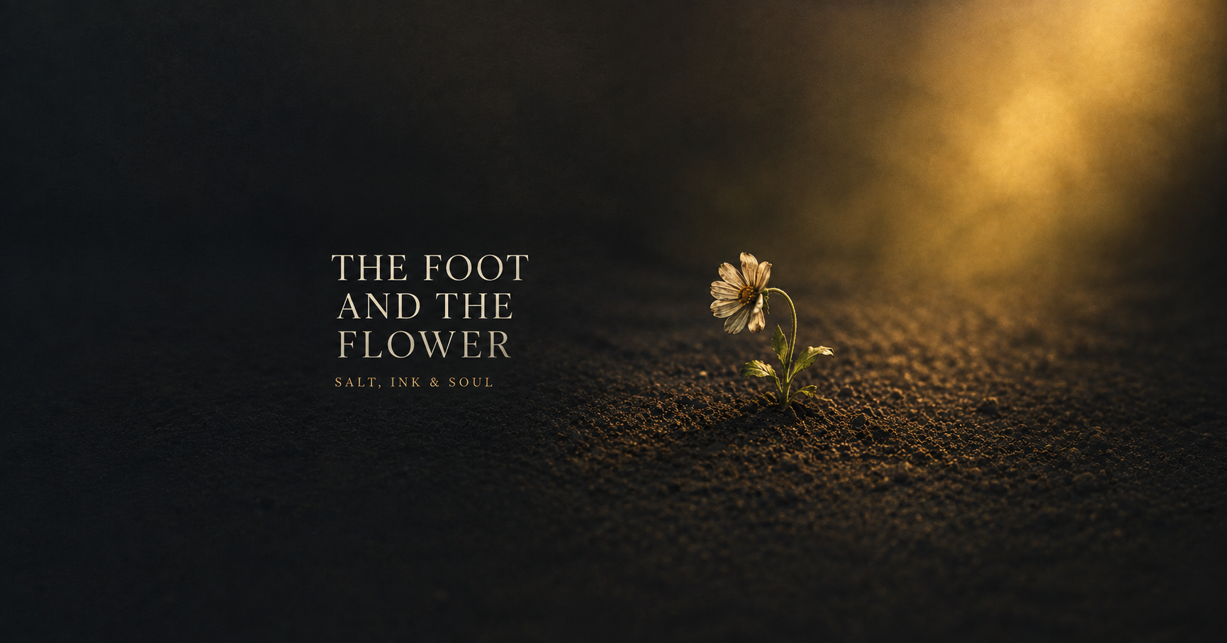 A small, slightly bent flower growing partly beneath a human shadow while reaching toward warm sunlight.