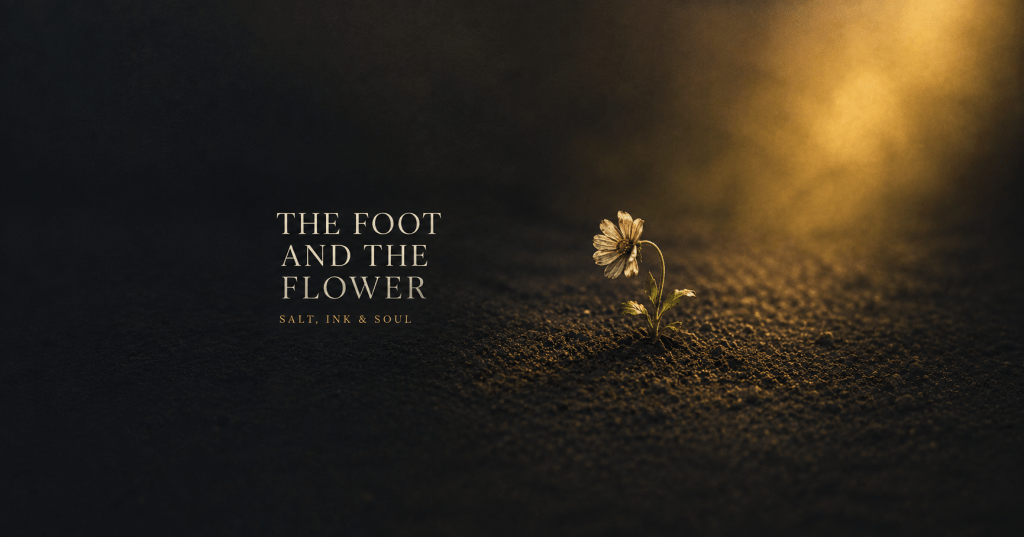 A small, slightly bent flower growing partly beneath a human shadow while reaching toward warm sunlight.