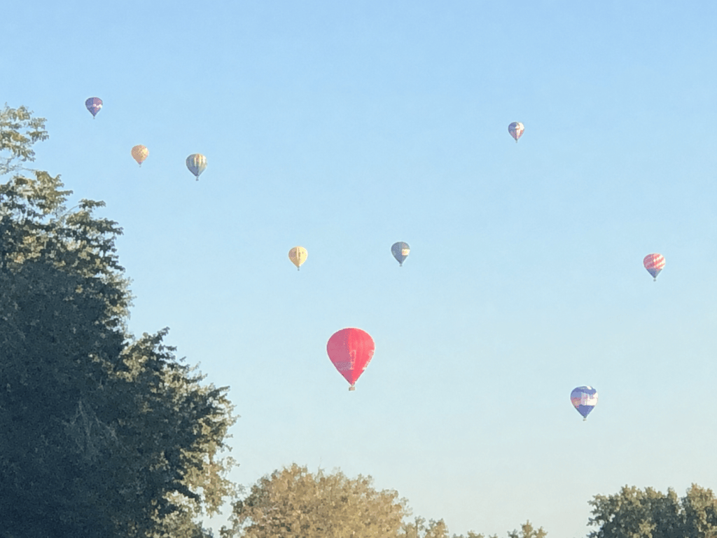 Hot air balloons floating across a clear blue morning sky in Albuquerque, New Mexico.
